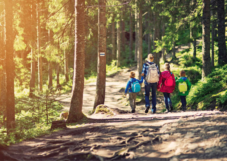 Avventure in Montagna con i Bambini: Sicurezza e Divertimento